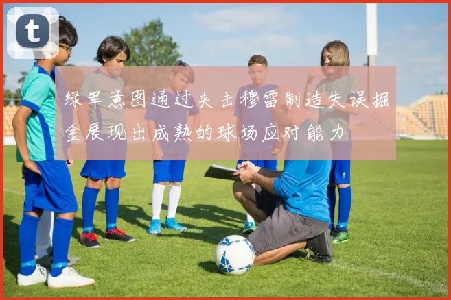 绿军意图通过夹击穆雷制造失误掘金展现出成熟的球场应对能力