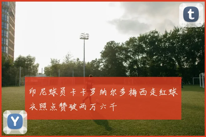 印尼球员卡卡罗纳尔多梅西走红球衣照点赞破两万六千